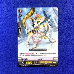 ทามามี่