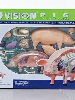 โมเดลหมู(4D Vision) ของเล่นเสริมพัฒนาการ, สื่อการสอนเด็กอนุบาล สื่อการสอนปฐมวัย