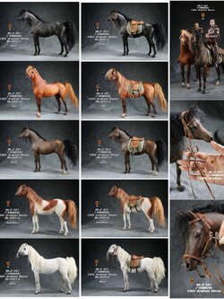 [สั่งจอง]Mr.Z MRZ051 1/6 animal model : Arabian Horse