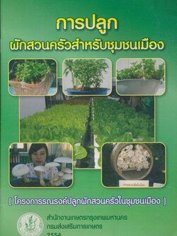 การปลูกผักสวนครัวสำหรับชุมชนเมือง