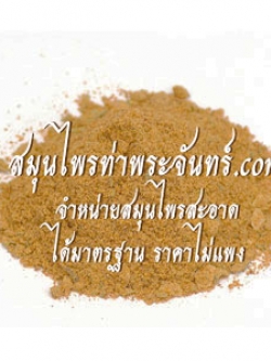 Smilax corbularia Kunth Powder