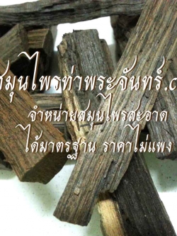 แก่นขี้เหล็กแห้ง ( 500กรัม - 1กิโล ) / ( 500g - 1kg ) สมุนไพรท่าพระจันทร์