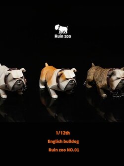 [สั่งจอง]RZTOYS 1/12 : English bulldog