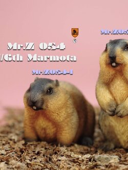 [สั่งจอง]Mr.Z MRZ054 1/6 : Animal Model - Marmota