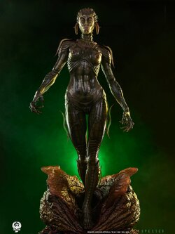 [สั่งจอง] PCS : Species (Species)