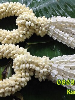 พวงมาลัยมะลิกุหลาบ