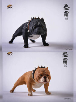 [สั่งจอง] JXK studio JXK034 A/B/C/D/E/F 1/6 : American Bully Pitbull Dog