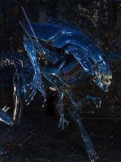 [สั่งจอง]NECA