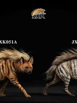 [สั่งจอง]JXK JXK051 1/6: Striped Hyaena