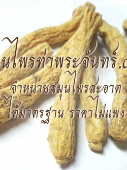 โสมอเมริกาแห้ง / โสมเอี่ยเซียม