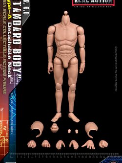 [สั่งจอง]SOLDIER STORY 1/6 : Male body [Reissue]