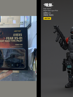 [พร้อมส่ง] Joy Toy 1/25 - JT01239 : Fear XS-01 Night Raid type-Pilot
