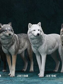 [สั่งจอง] JXK 1/6 : Arctic Wolf