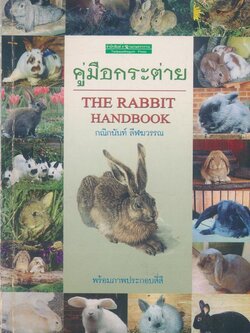 คู่มือกระต่าย