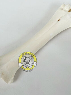 กระดูกจริง ข้อหยักขาว 7-10 นิ้ว 1 ชิ้น