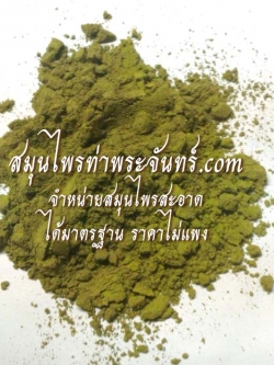 Mulberry tree/ White Mulberry Powder