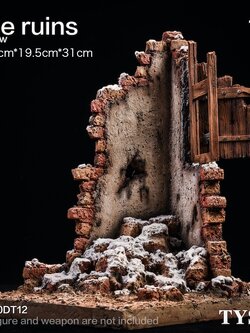 [สั่งจอง] TYSTOYS 20DT12 1/6 The ruins Snow