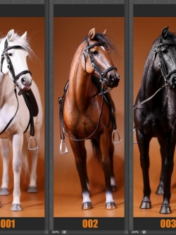 [สินค้าพรีออเดอร์] ม้าศึก Mr.Z 001~005 1/6 Germany Hanoverian Animal Hannover Horse Model 12" Figure