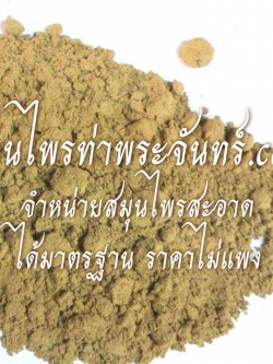 Salacia chinensis L. Powder