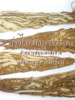 ตังกุยแผ่นเล็กแห้ง