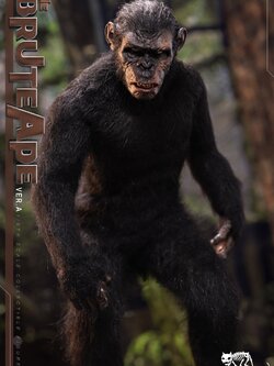 [สั่งจอง] Hellcat studio 1/6 : The Bruteape