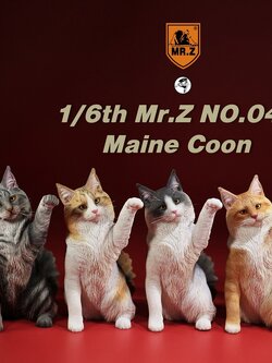 [สั่งจอง] MR. Z Animal Model MRZ045 1-5 1/6th : Maine Coon (all 5 colors)