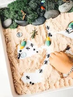 ชุดส่งเสริมประสาทสัมผัส ,การเรียนรู้รังมด,รังมดจำลอง ,ของเล่นเสริมพัฒนาการ,การทดลอง,ของเล่นอนุบาล,แบบจำลอง,ของเล่นเชิงวิทยาศาสตร์,สินค้าพร้อมส่ง