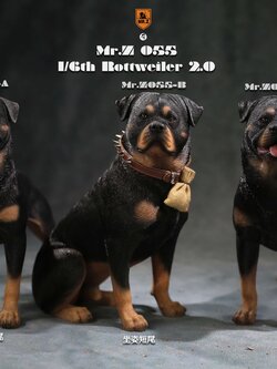 [สั่งจอง]Mr.Z MRZ055ABC 1/6th : Animal Model - Rottweiler
