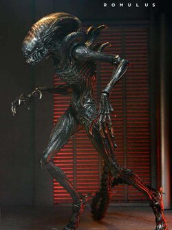 [สั่งจอง] Neca : Alien - Romulus