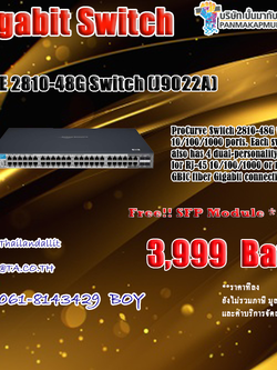 HPE 2810-48G Switch (J9022A)