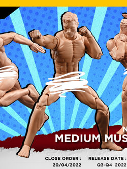[สั่งจอง]nwtoys nw002 1/12 : Medium muscle Body