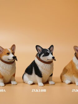 [สั่งจอง]JXK 1/6 : Fat Welsh Corgi Pembroke
