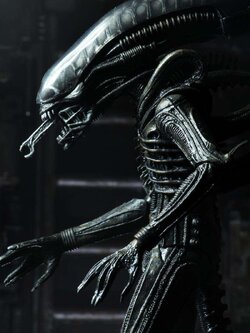 [สั่งจอง]Neca : Ultimate Alien Big Chap 40th Annniversary(9นิ้ว)