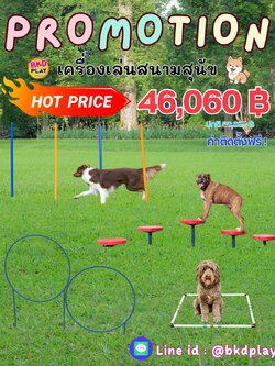 เครื่องเล่นสนามสุนัขจัดเซ็ท ราคาโปรโมชั่น 46,060 บาท, ฝึกสุนัข ,อุปกรณ์เสริมน้องหมา dog playground