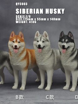 [สั่งจอง]QuanYingCun QYC003 A/B/C/D 1/6 : Husky