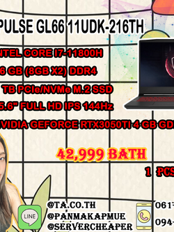 MSI PULSE GL66 11UDK-216TH (TITANIUM GRAY)