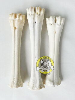 คุ้มสุด..กระดูกจริง ข้อหยักขาว 7-10 นิ้ว 3 ชิ้น