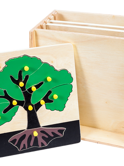 ตู้บาโทนี่พืช พร้อมกระดานต่อภาพ 5 แผ่น, ของเล่นไม้, ของเล่นเสริมพัฒนาการ, ของเล่นเด็กอนุบาล, สื่อการสอนเด็กอนุบาล,มอนเตสซอรี่ ,montessori, สื่อการสอนประถม