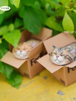 [สั่งจอง]JXK small JS2213 1/6 : The Cat In The Delivery Box