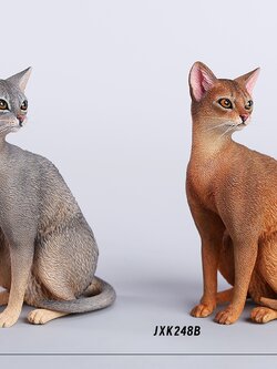 [สั่งจอง] JXK 1/6 : Abyssinian Cat Figurine