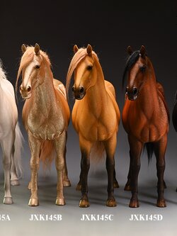 [สั่งจอง]JXK 1/6 : Dutch Warmblood