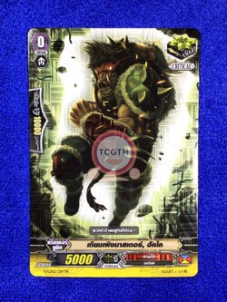 เทียนเผิงมาสเตอร์, ฮัคไค