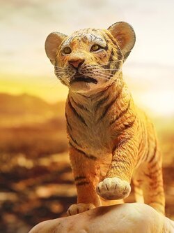 [สั่งจอง]JXK JXK105 1/6 : Little Tiger