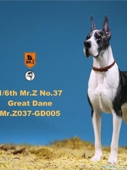 [สั่งจอง]Mr. Z Animal Model No.37: 1/6th The German Great Dane(all 6 colors)