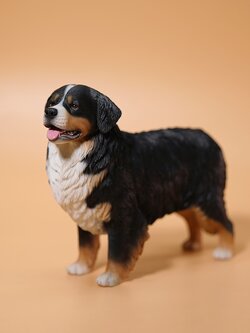 [สั่งจอง]JXK JXK144 1/6 : Bernese Mountain Dog