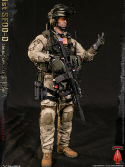 [สั่งจอง] DAMTOYS 1/6 1st SFOD-D Combat Applications Group TEAM LEADER DAM7