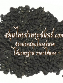 เมล็ดเทียนดำแห้ง สมุนไพรท่าพระจันทร์