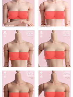 [สั่งจอง] Worldbox 1/6 : Female Body Big Breast Replacement Parts
