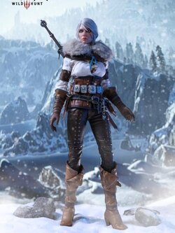 [สั่งจอง]Pure Arts 1/6 : Cirilla Fiona Elen Riannon (The Witcher 3 : Wild Hunt)