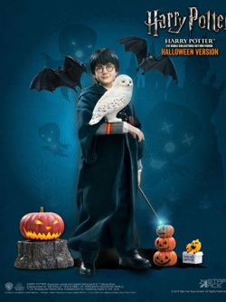 [สั่งจอง]STAR ACE Toys：1/6 HW0001/HW0002/HW0003/HW0004 1/6 Harry Potter (Child)